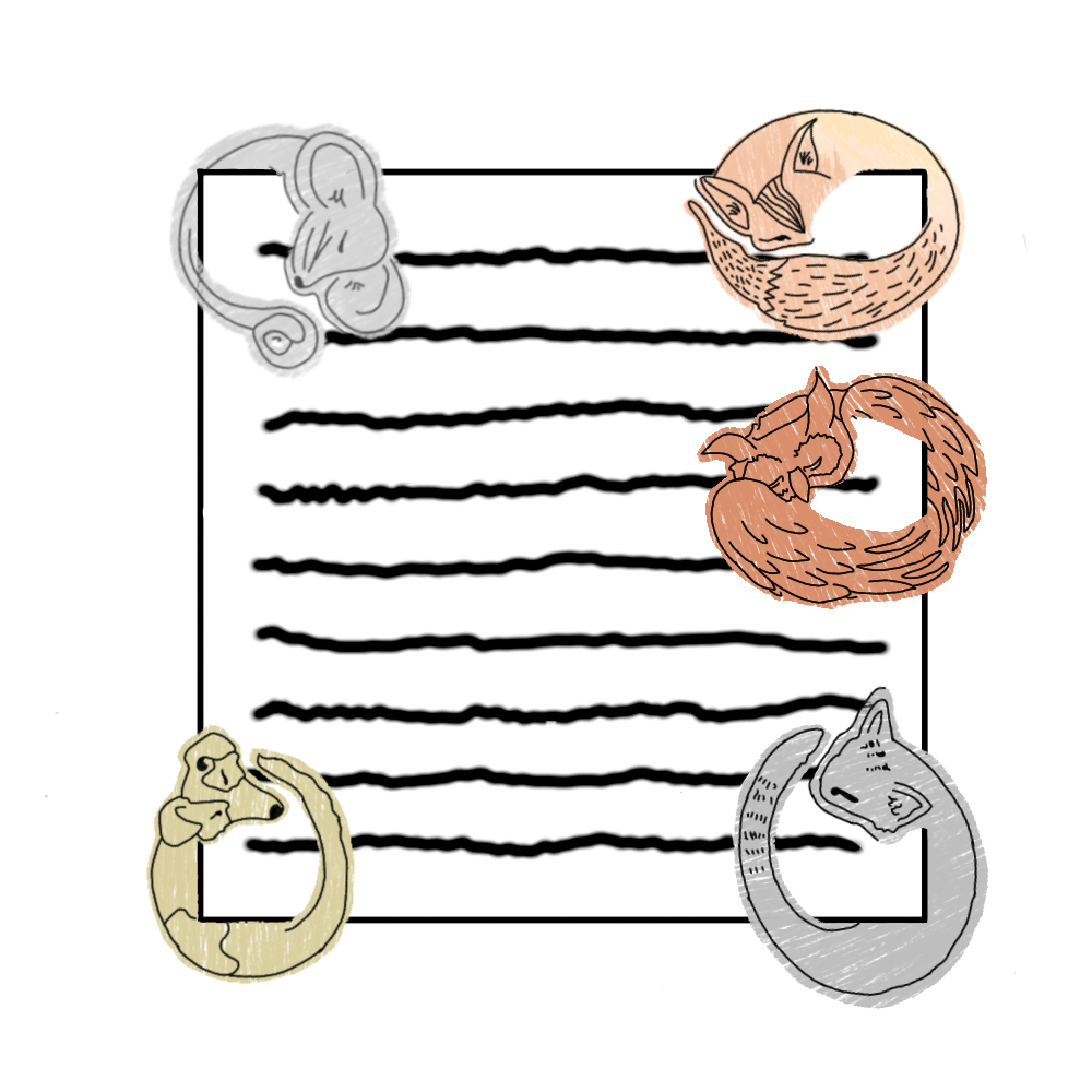 Corner B Curled up corner metal animal bookmark. Available as a cat, dog, fox, mouse, and owl.